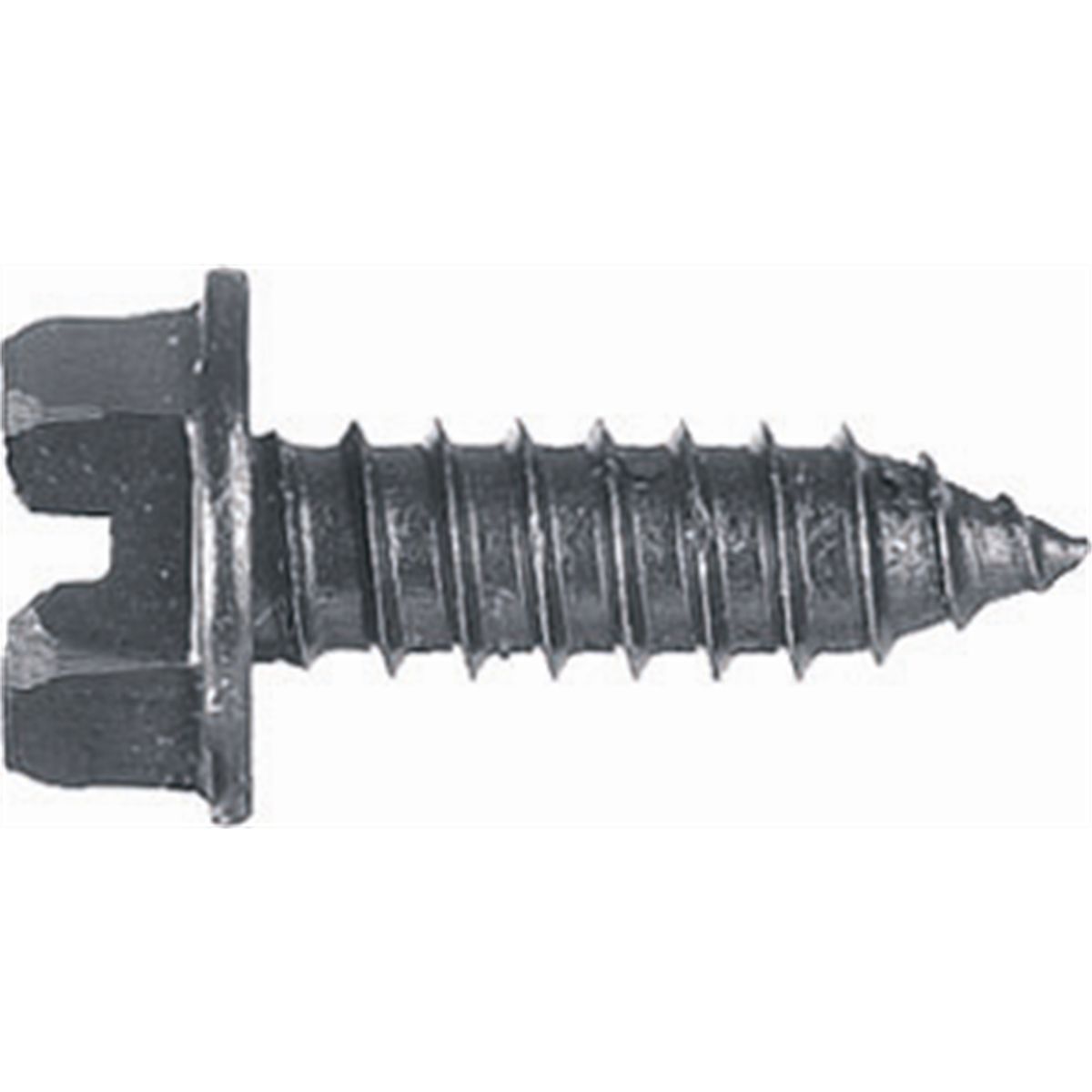 5-5/16"-LIC PLATE SCRW BLK. O.