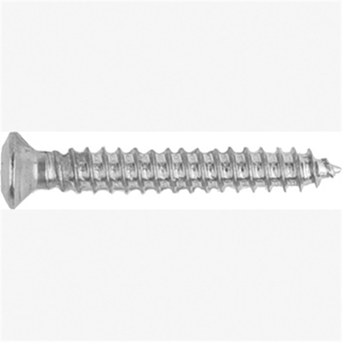 Met Torx Tim Screws-GM 10 Pc