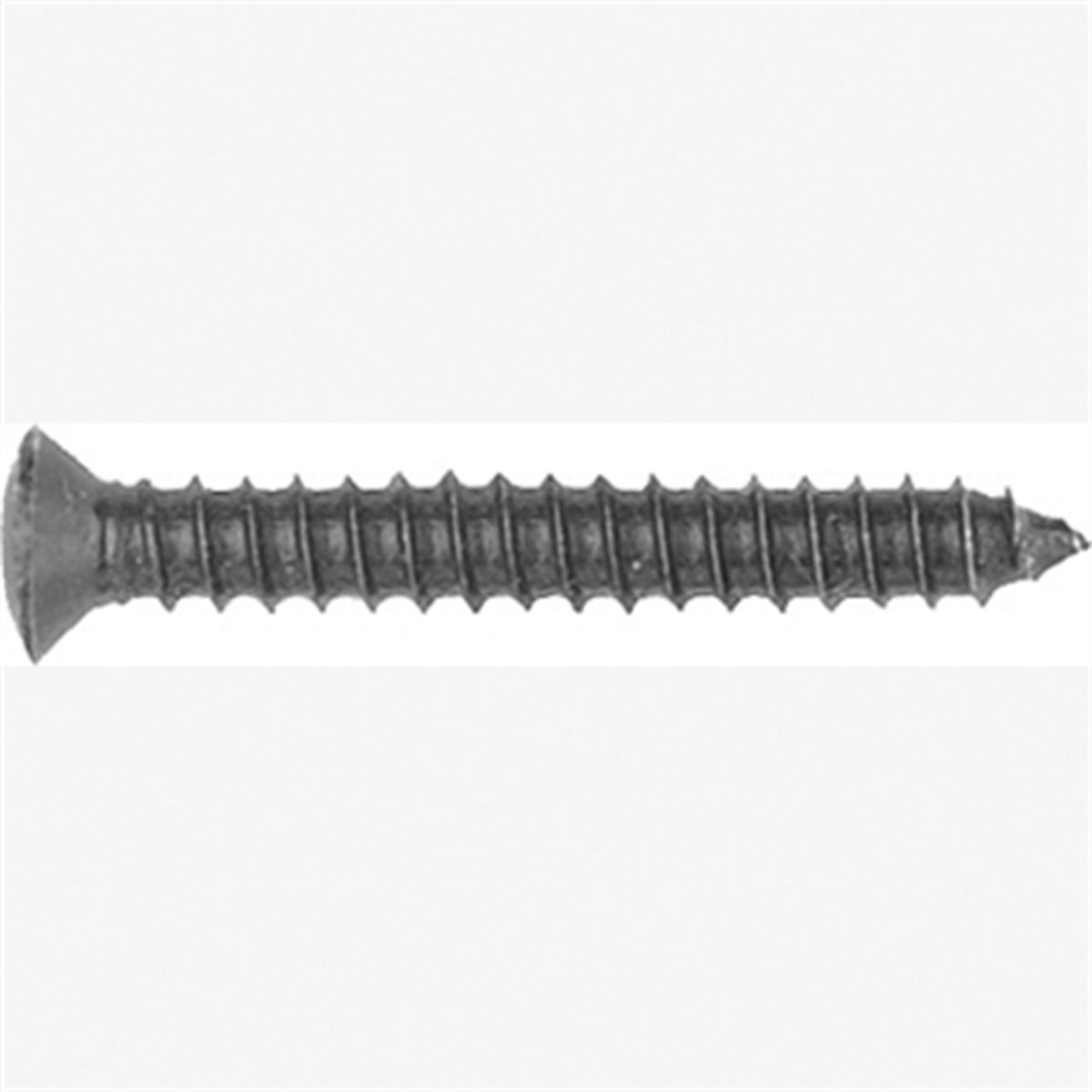Met Torx Trim Screws-GM 100 Pc