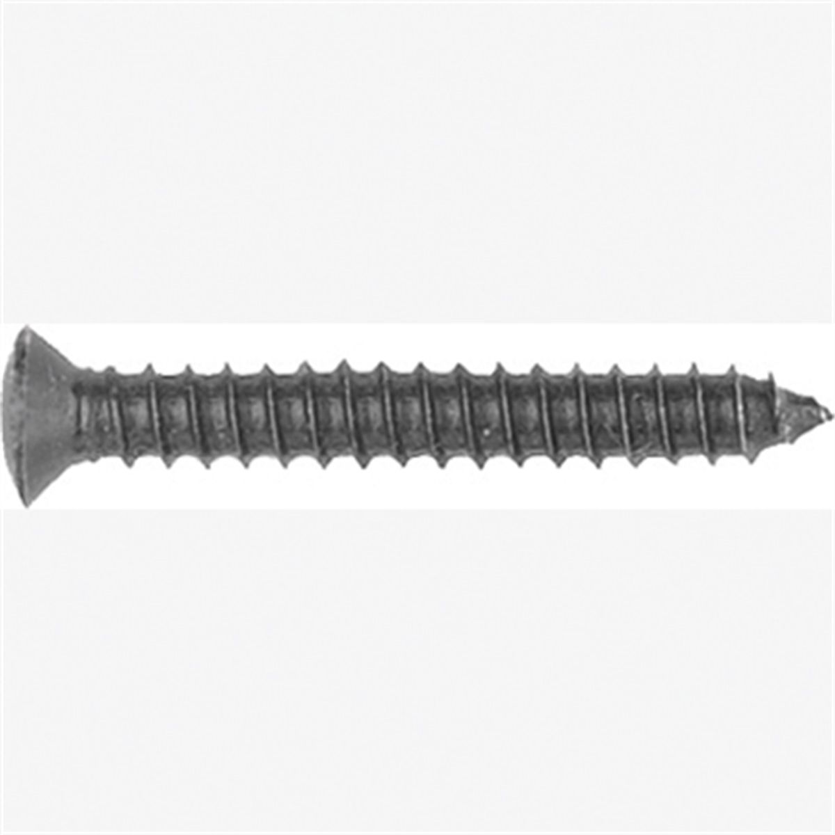 Met Torx Trim Screws-GM 10 Pc