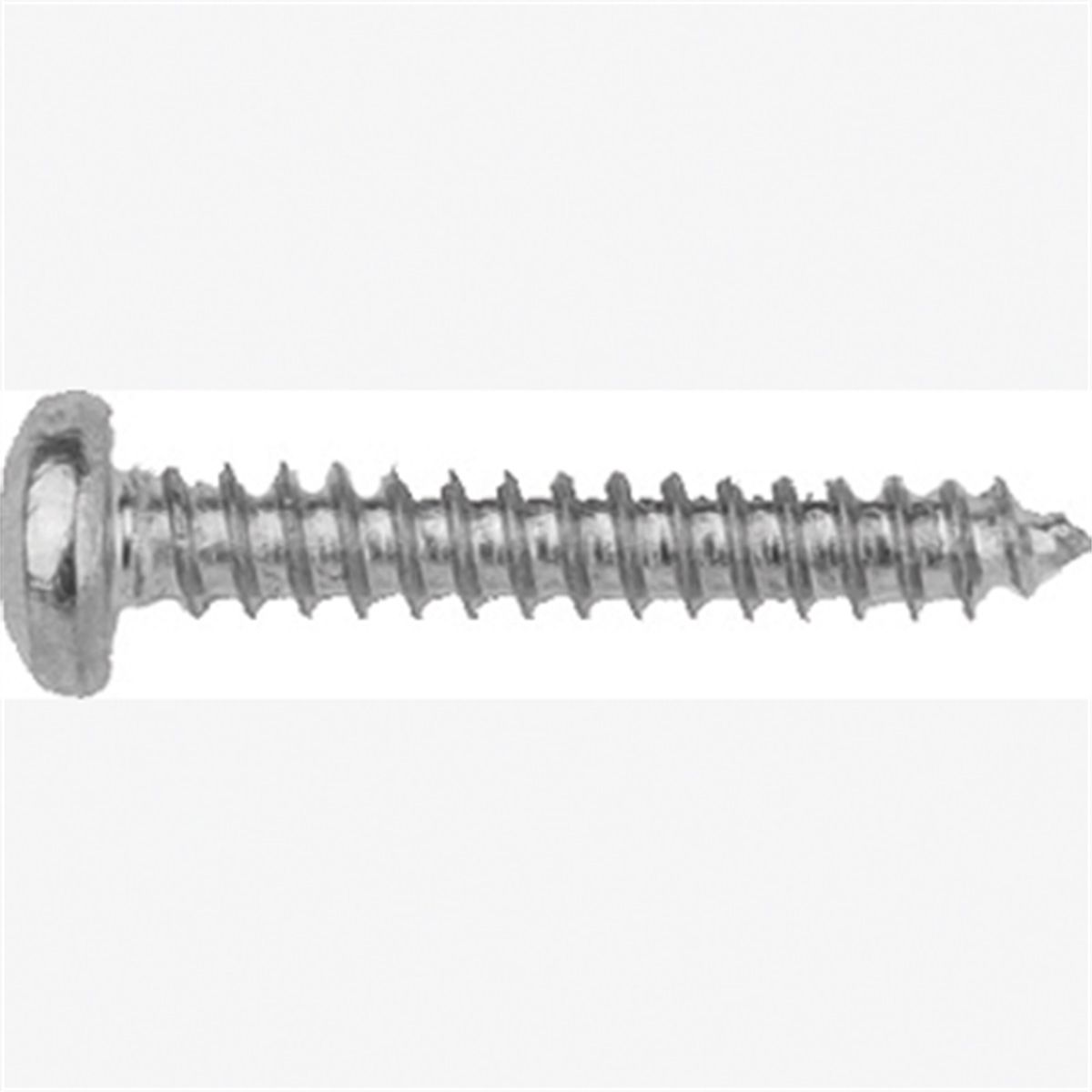 Met Torx Tim Screws-GM 100 Pc