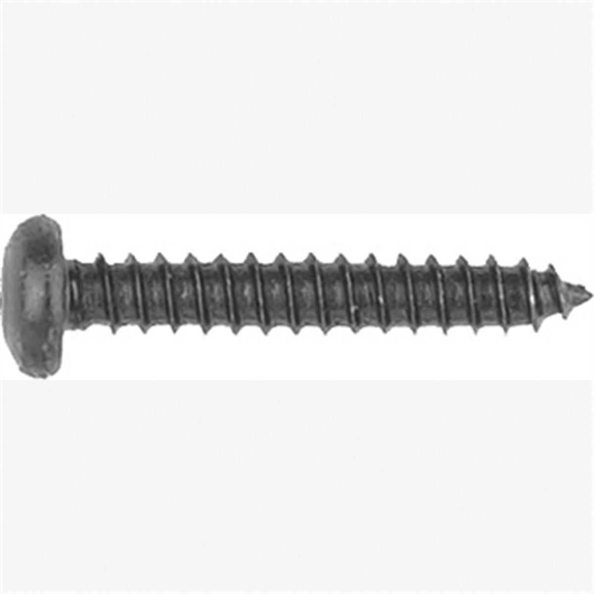 Met Torx Trim Screws-GM 100 Pc