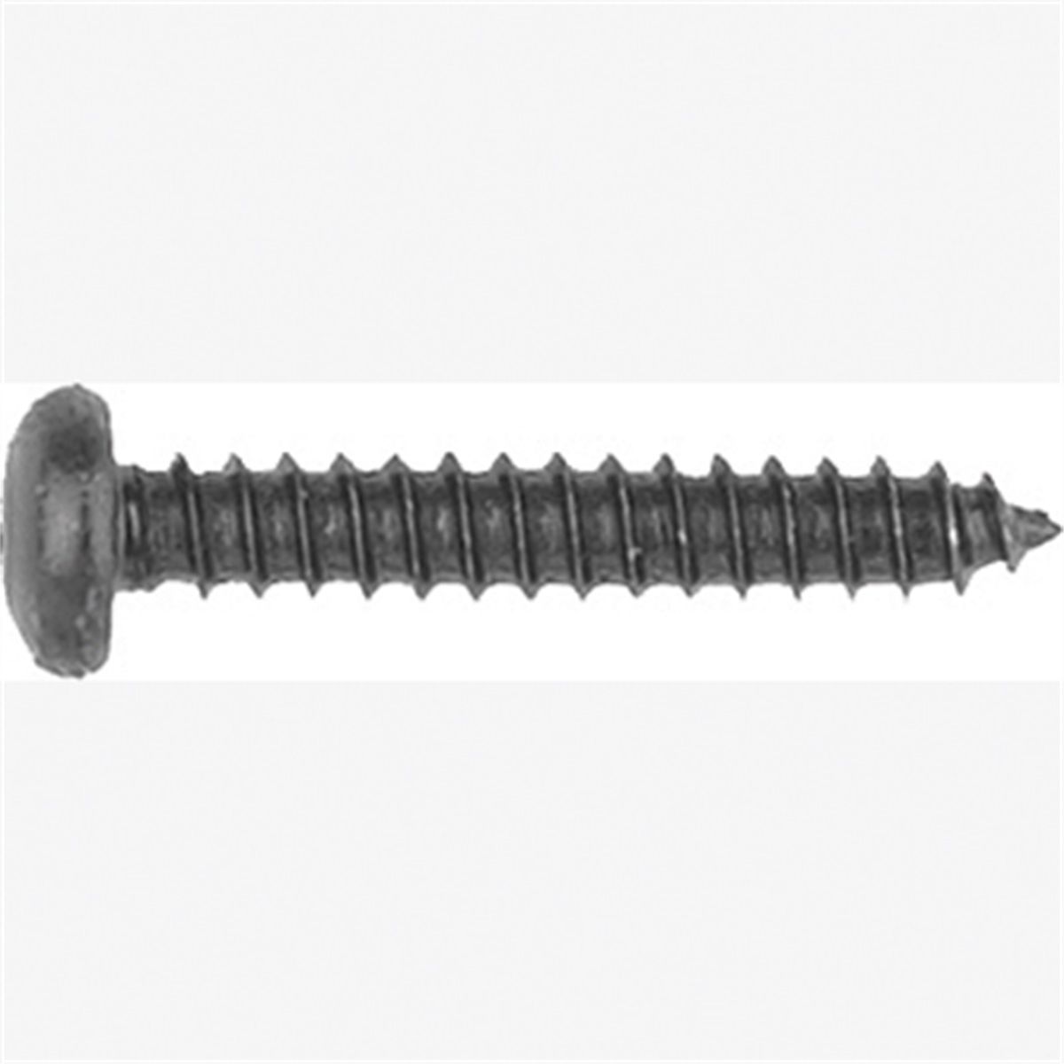 Met Torx Trim Screws-GM 10 Pc