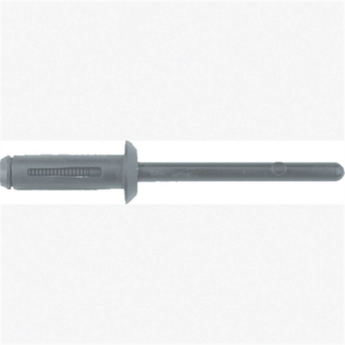 Blk Nyl Blind Rivets Chrsler