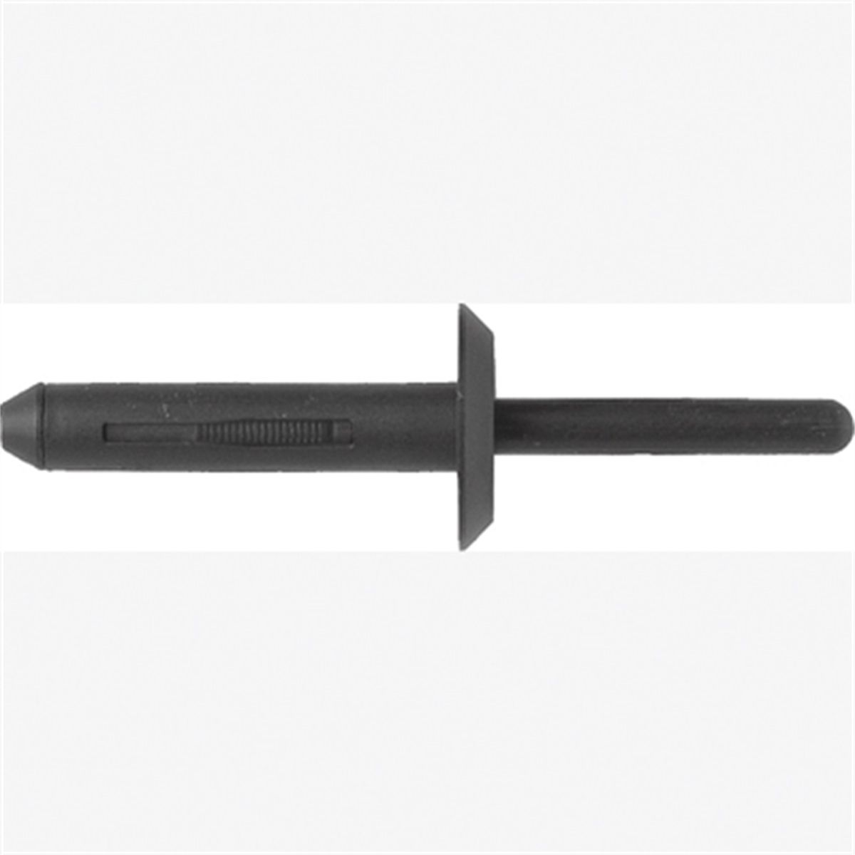 Blk Nyl Blind Rivets Ford