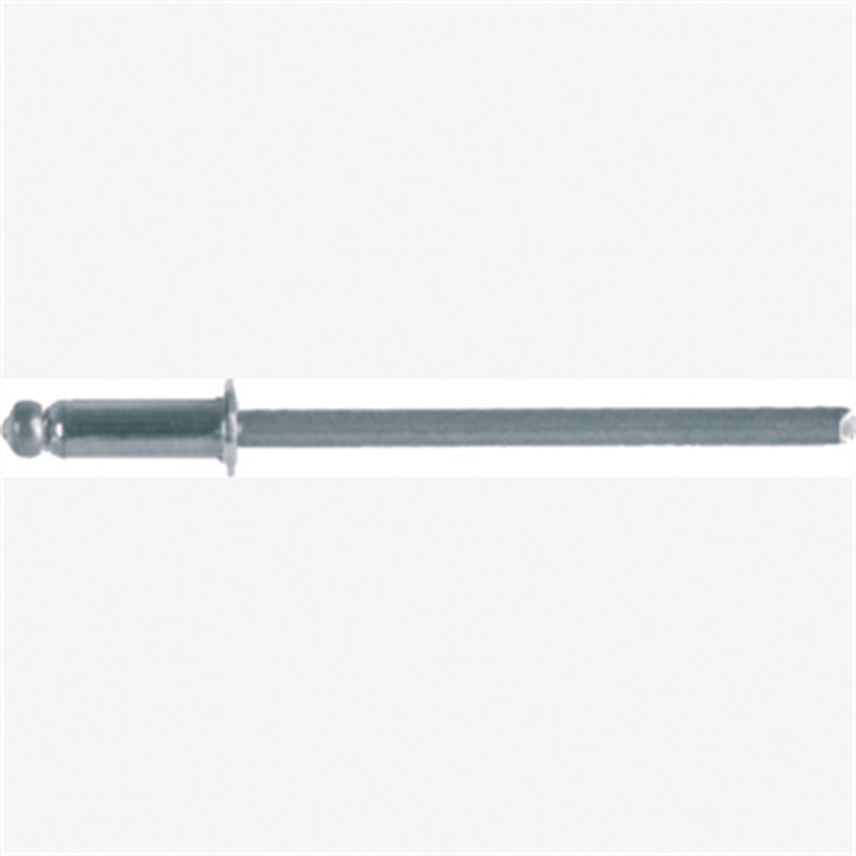 SS Rivet Mandrel Moulding Ford