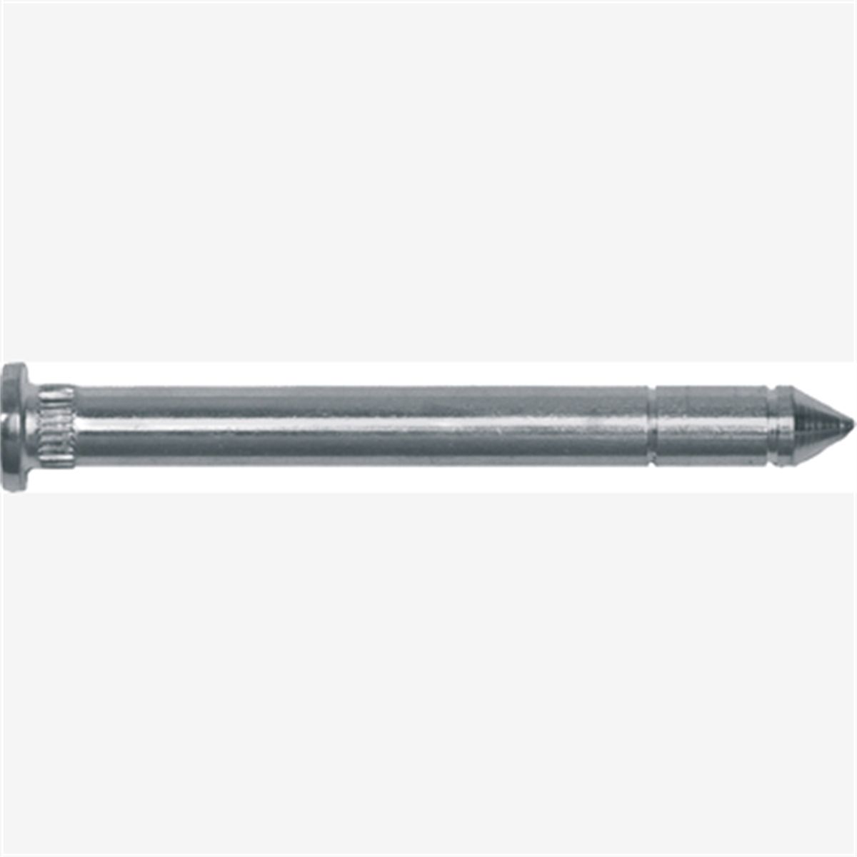 Dr Hinge Pins Frd Rngr Trk 100