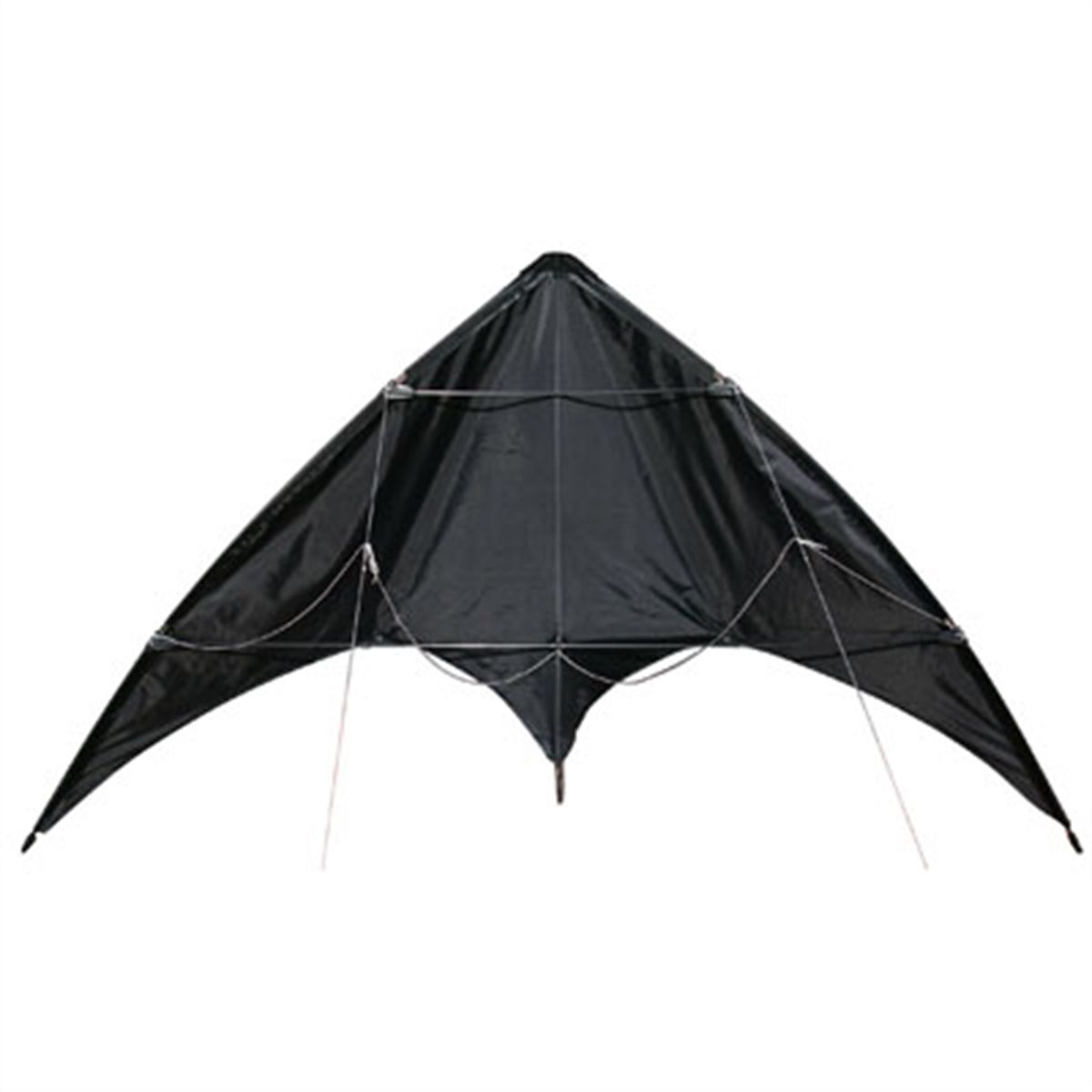 Stunt Kite