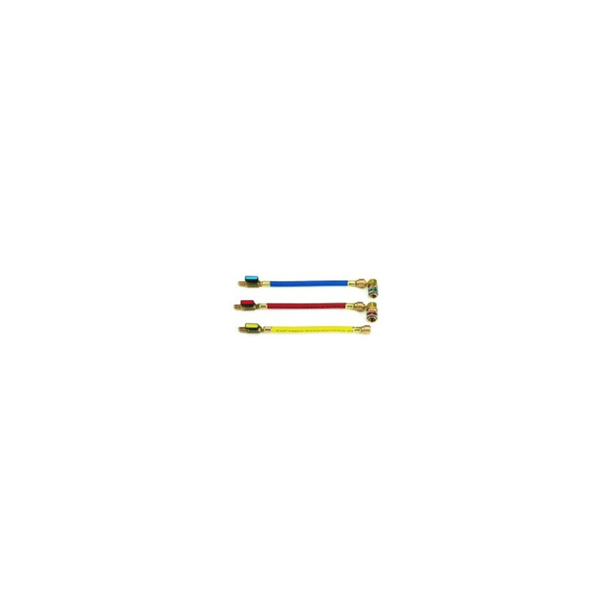 Manifold Conversion Hose Set - R12 to R134a