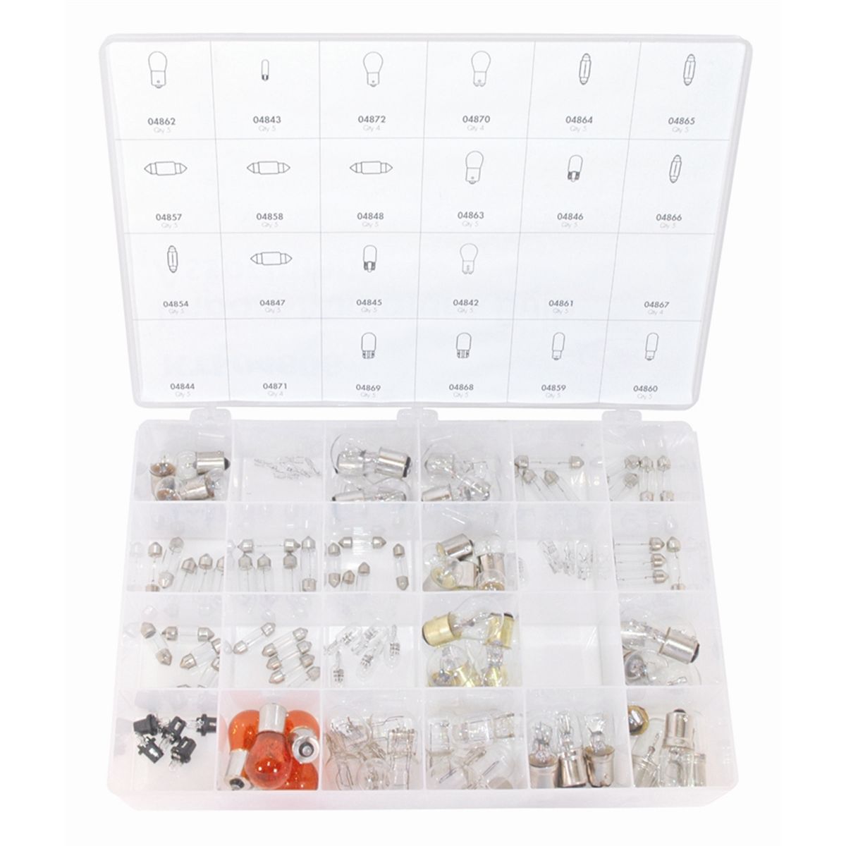 Bulb Assortment Mini Import 11