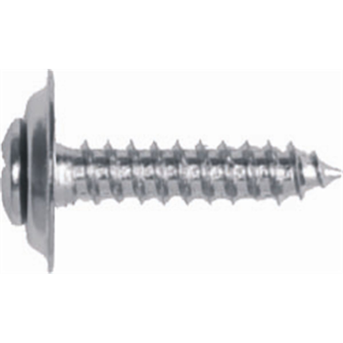 #6-PHILLIPS OVAL HD TRIM SCRW CLMSHL (6 PCK)