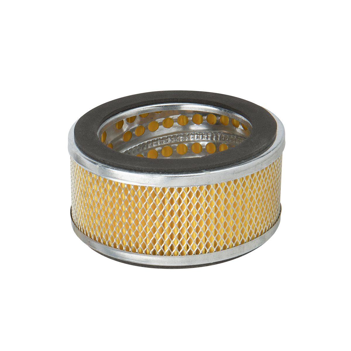 Air Filter, for 5-10 HP Flexzilla Air Compressors