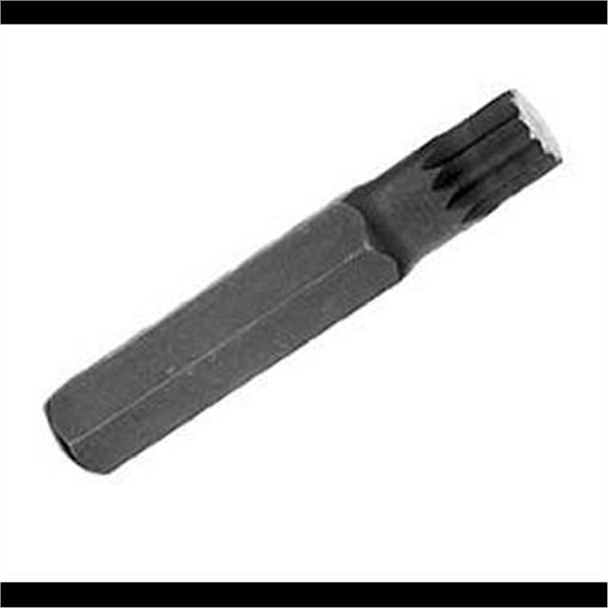 12 Point 12mm Wrench Bit