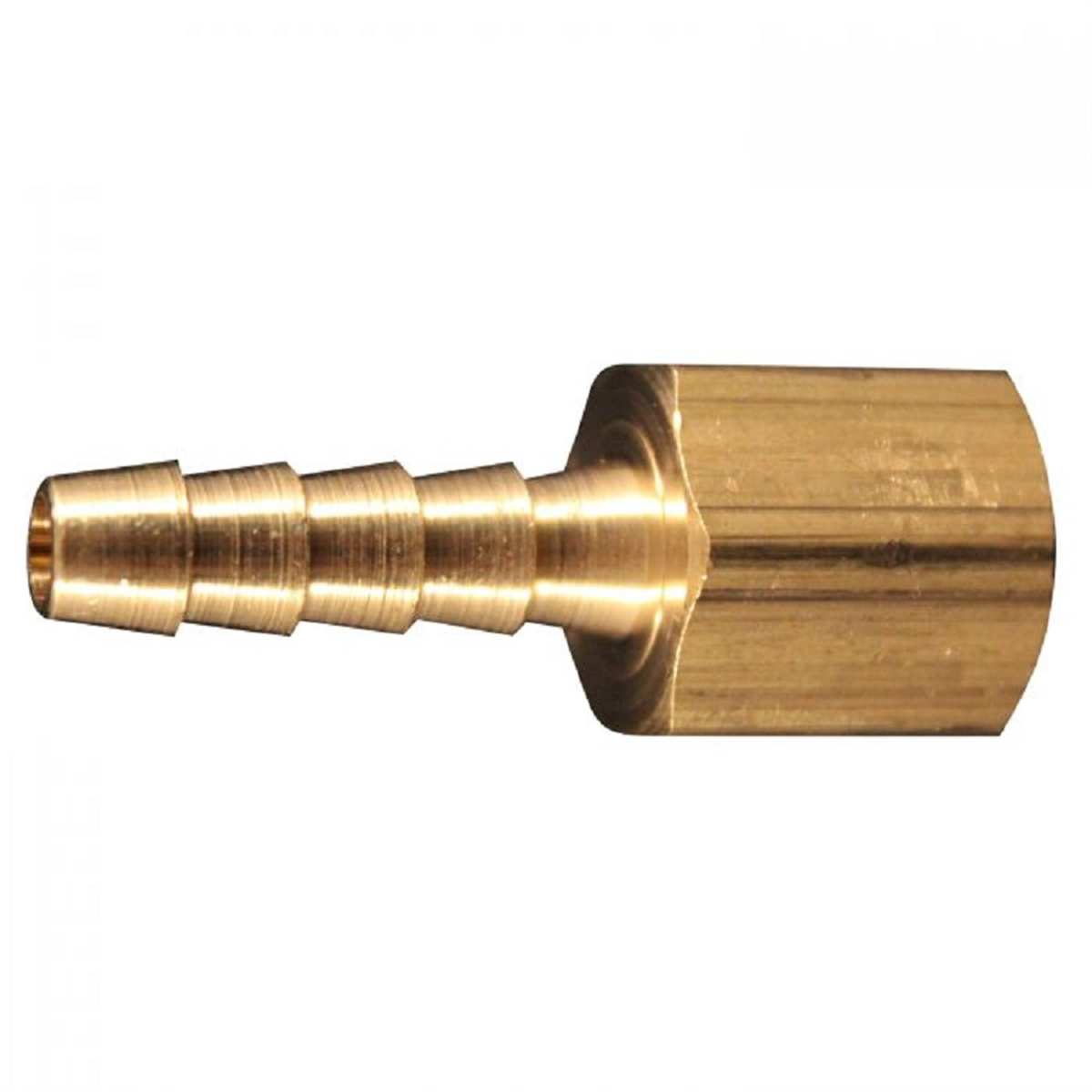 Female, Non Swivel Brass Hose End