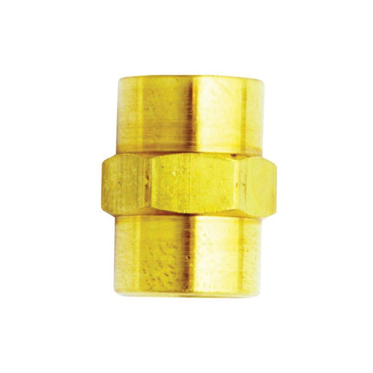 Brass Fitting Female Hex Coupling 1/4 In NPT x 1/4 In NPT 2/Pk