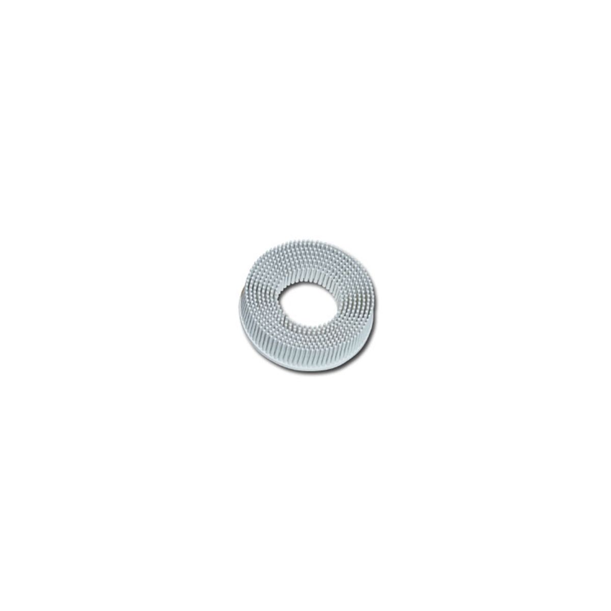DISPLAY BRISTLE DISC 2IN