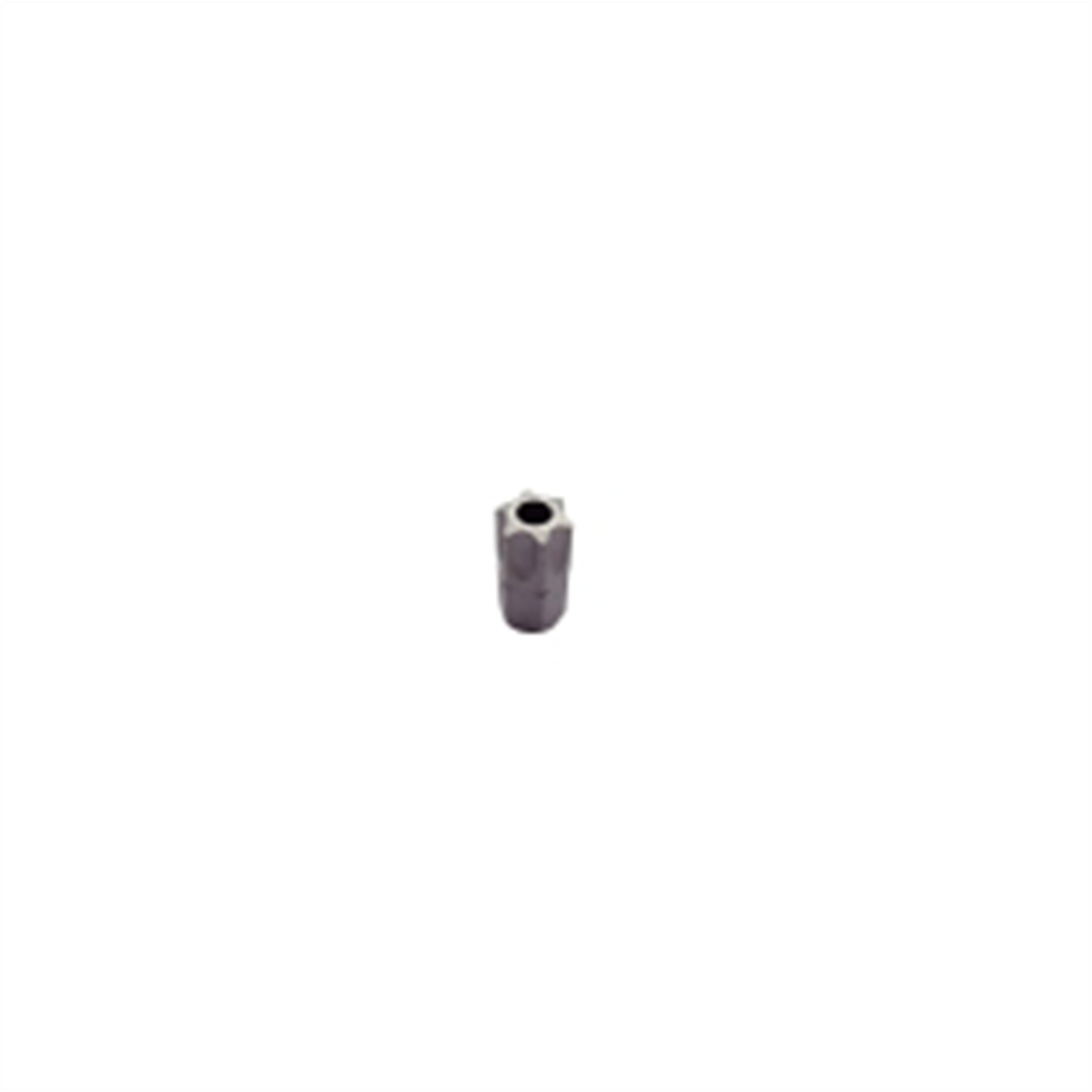 TR45 TORX 5/16" HX 5/8" OAL
