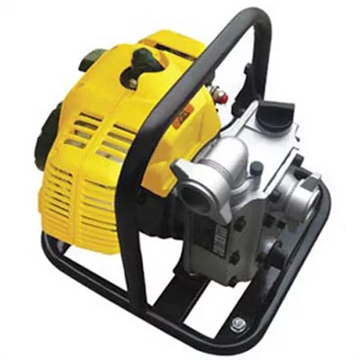 1.0 HP Water Pump