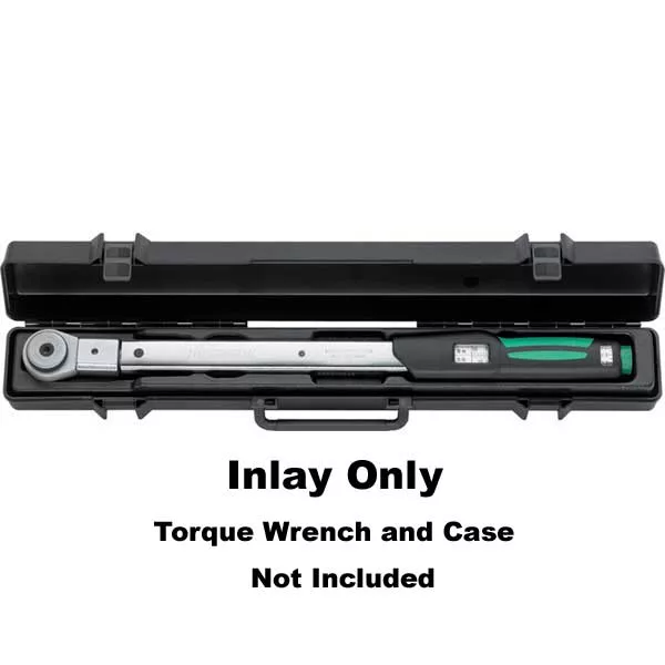 Inlay for Plastic Case