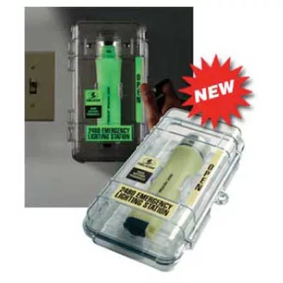 2480 Emergency Lighting Station