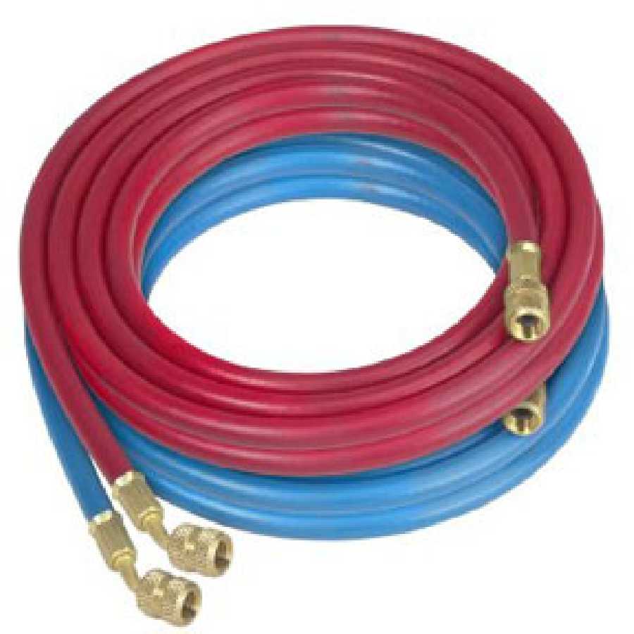 20' Charging Hoses