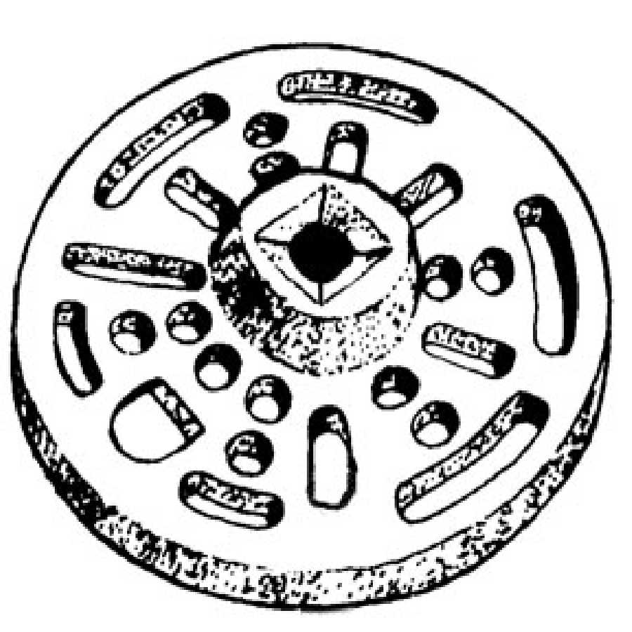 Multi - Adapter Plate