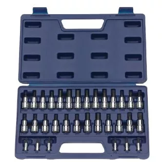 32 pc 1/4" & 3/8" Drive -Point SAE & Metric Bit Bit Socket Set C