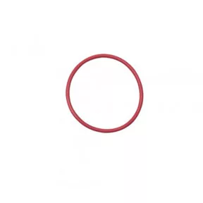 O-RING PUMP FLANGE