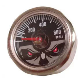 GAUGE 600 PSI