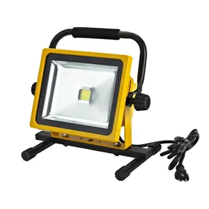 2100 Lumens LED Flood Light