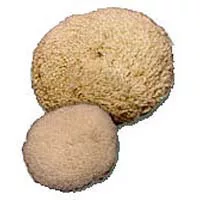 7.5" Twisted Wool Hook and