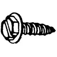 Slotted Hex Washer Head #10 x