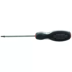 Screwdriver Torx T10 x 4"