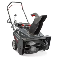 Briggs Snow, 9.5 TP, Single Stage, 22"