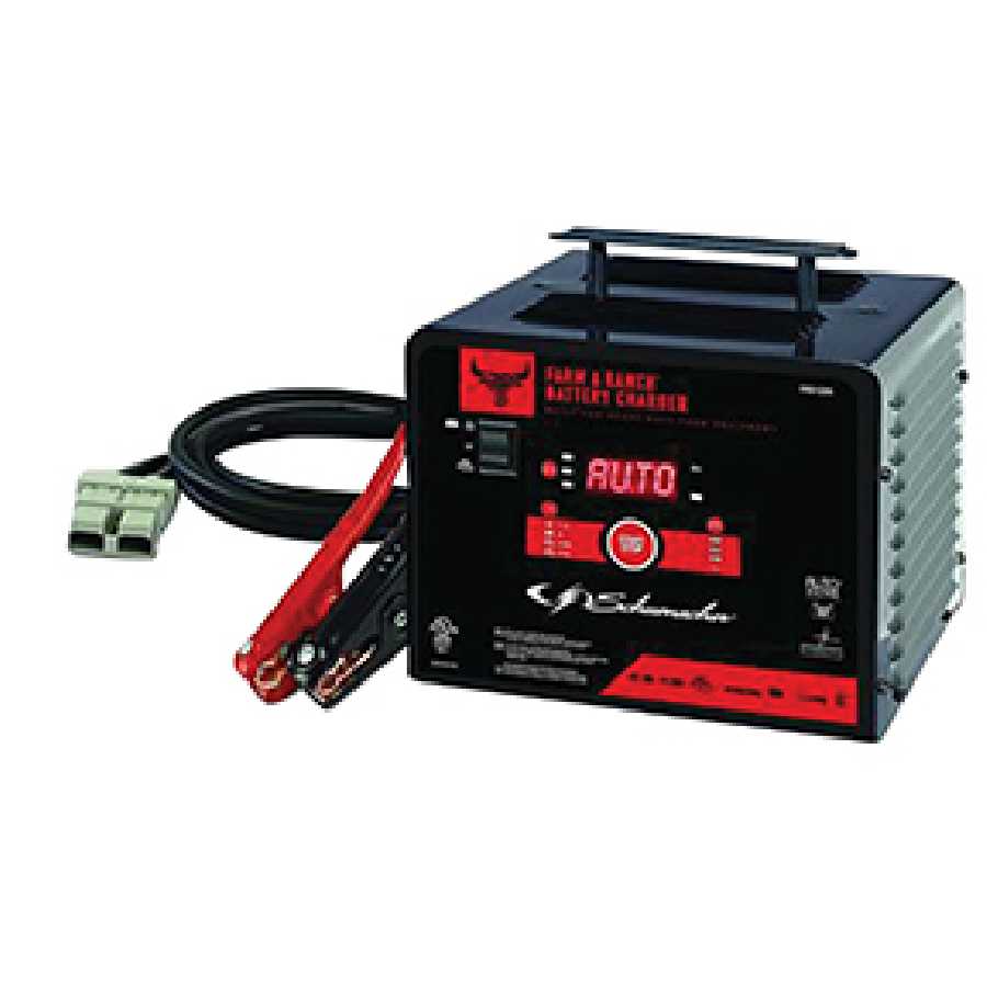 6V/12V 200A Battery Charger/Engine Starter