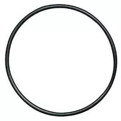 HEAD O-RING