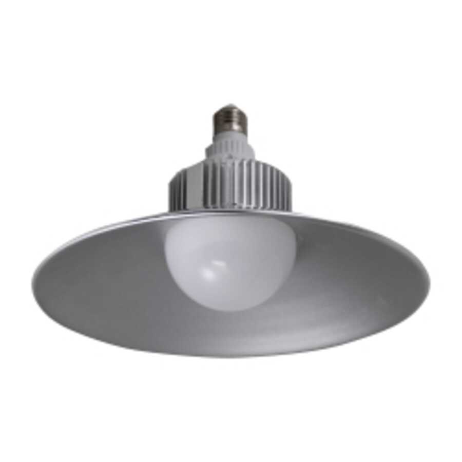 2500 Lumen LED Utility Bulb