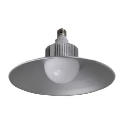 (image for) 2500 Lumen LED Utility Bulb