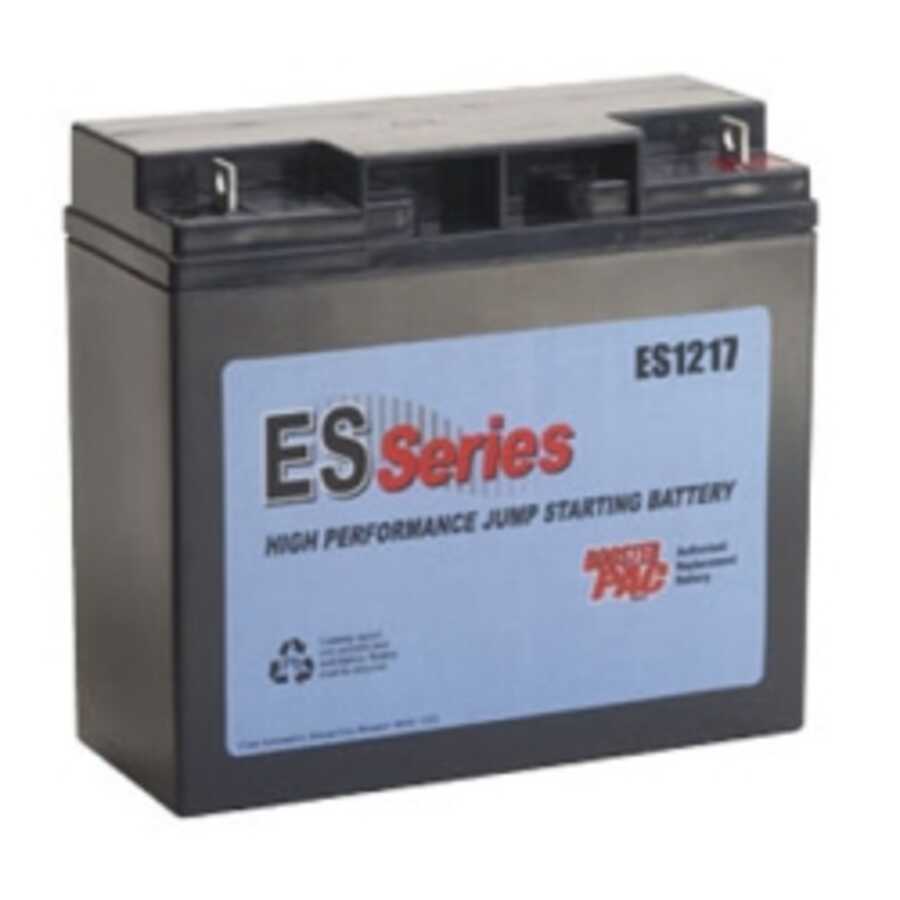 BATTERY FOR ES2500