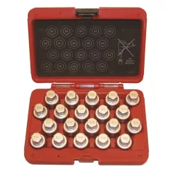 20PC Audi Wheel Bolt Adaptor 20PC Audi Wheel Bolt Adaptor