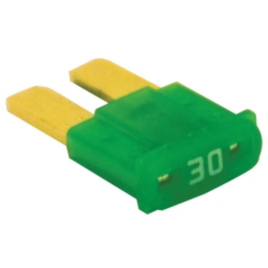 Micro-2 30 Amp