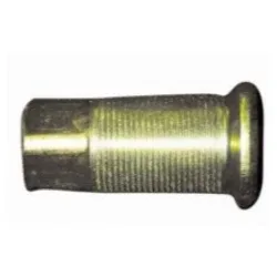 (image for) INNER CAP NUT-R/H STEEL WHEEL