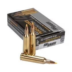 AMMO, 22-250 REM, 40GR, VARMNT & PREDATOR, BOX/20