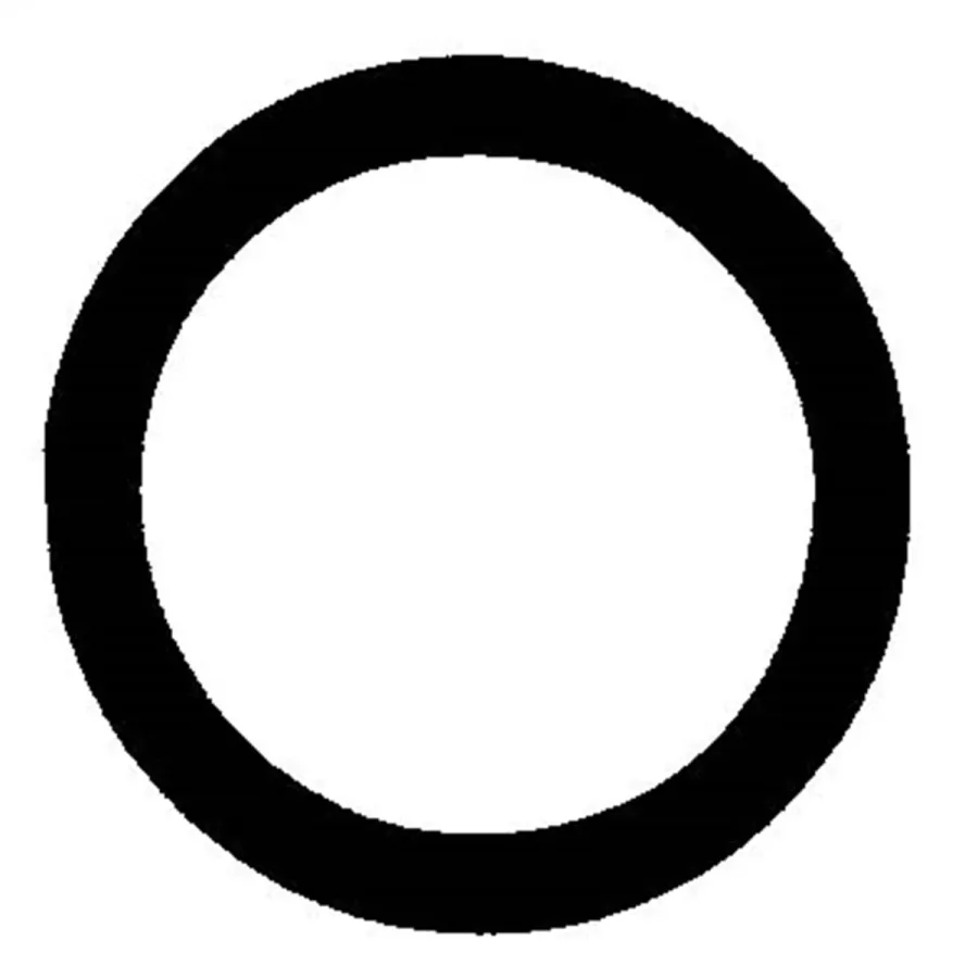 (image for) GM Oval O-Ring