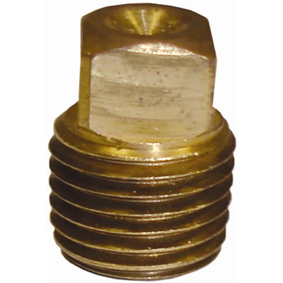 1/4" Pipe Thread Plug Brass Fitting (image for) 1/4" Pipe Thread Plug Brass Fitting