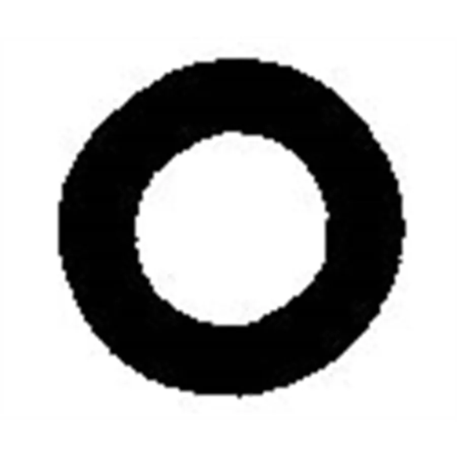 (image for) GM Capillary Tube O-Ring