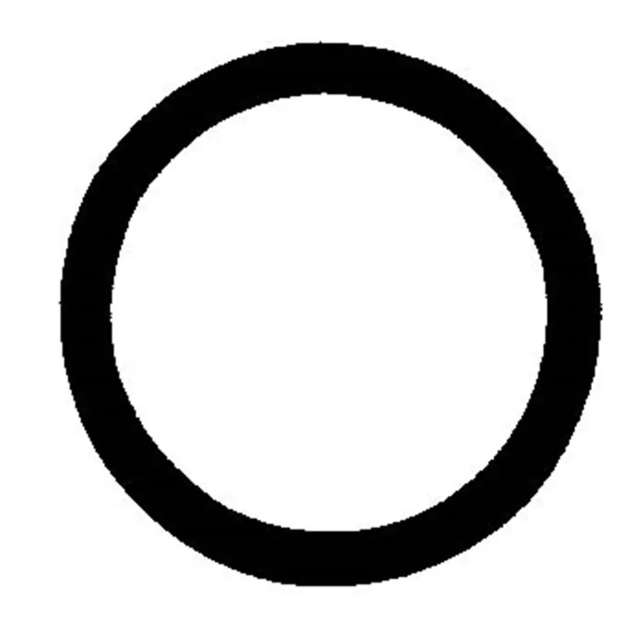 Sanden Suction O-Ring (image for) Sanden Suction O-Ring