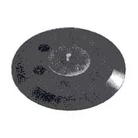 c. Round Epoxy-Fiberglass Sanding Pads - 6 In PSA