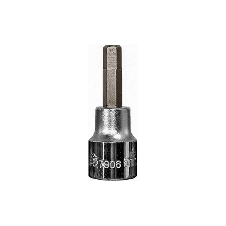 Metric Hex Bit Socket - 3/8 In Drive - 6mm