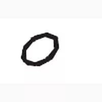 THROTTLE VALVE SEAL